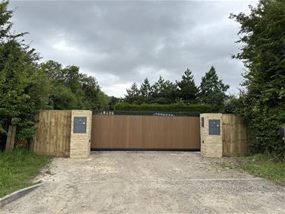 Picture 6